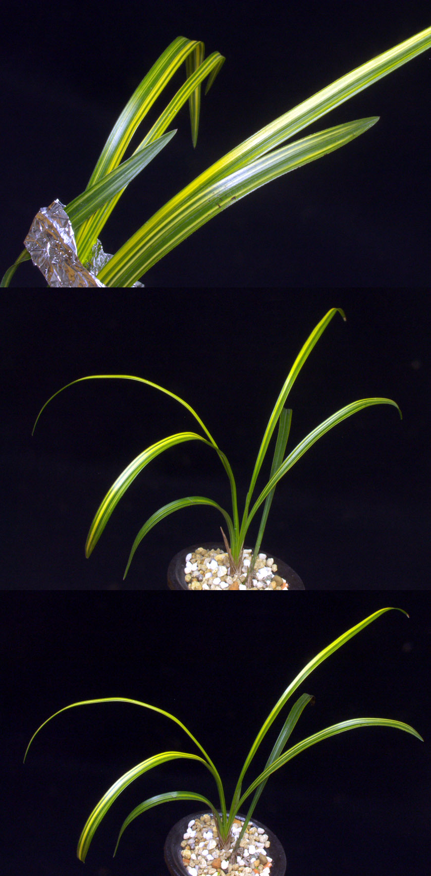 ������ ū������ �� �� �ֽ��ϴ�.