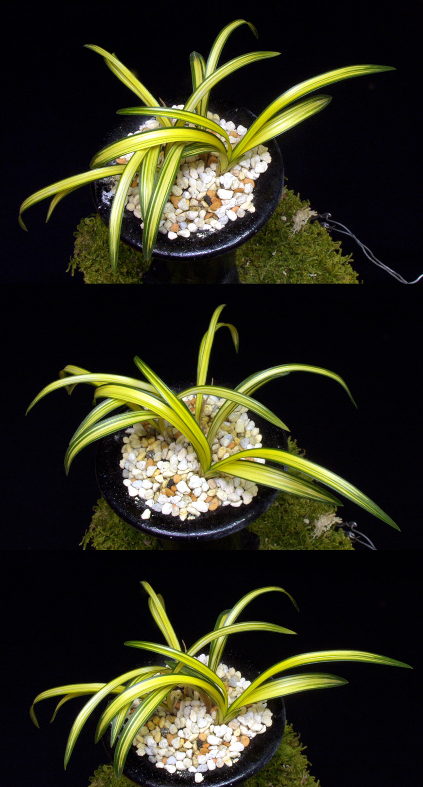 ������ ū������ �� �� �ֽ��ϴ�.