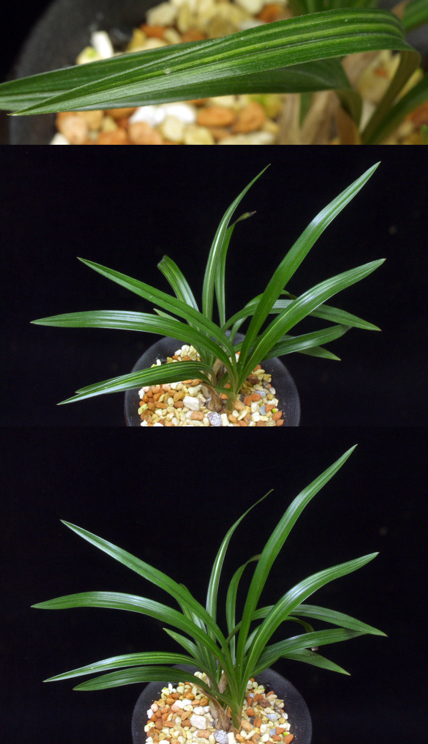 ������ ū������ �� �� �ֽ��ϴ�.