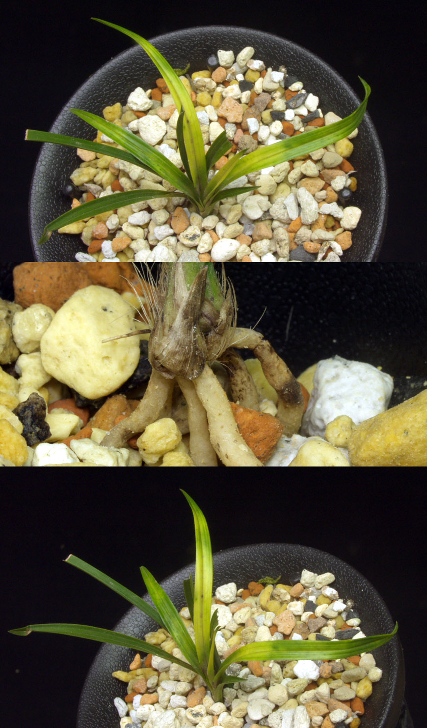 ������ ū������ �� �� �ֽ��ϴ�.