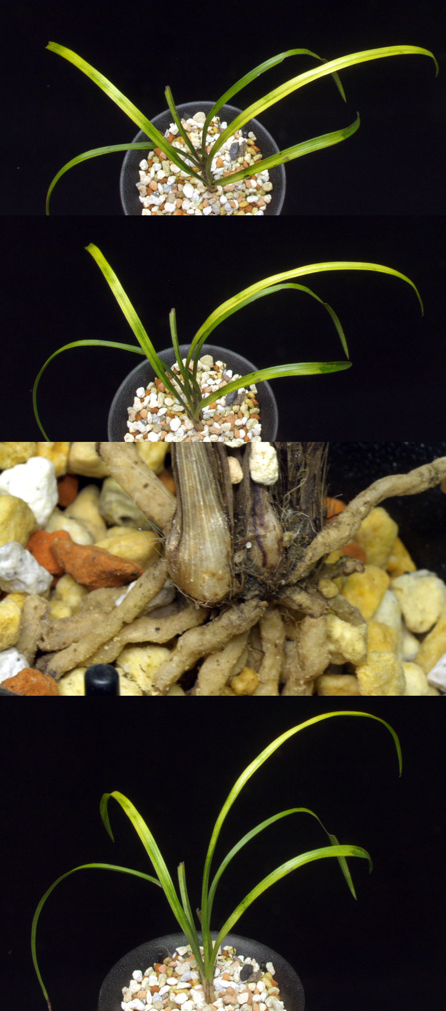 ������ ū������ �� �� �ֽ��ϴ�.