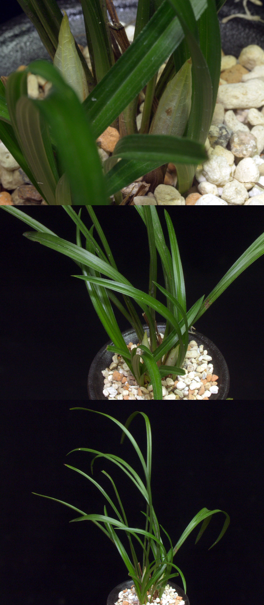 ������ ū������ �� �� �ֽ��ϴ�.