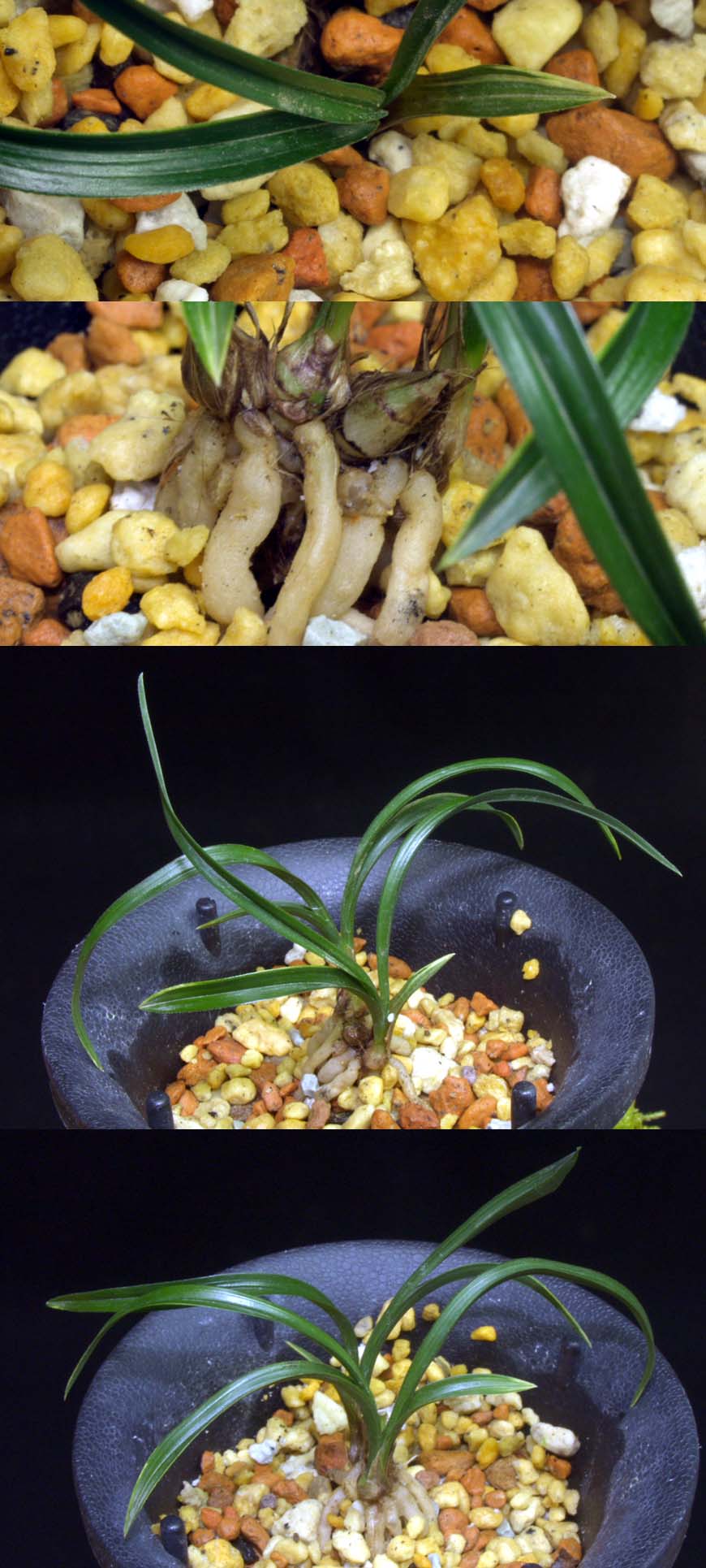 ������ ū������ �� �� �ֽ��ϴ�.