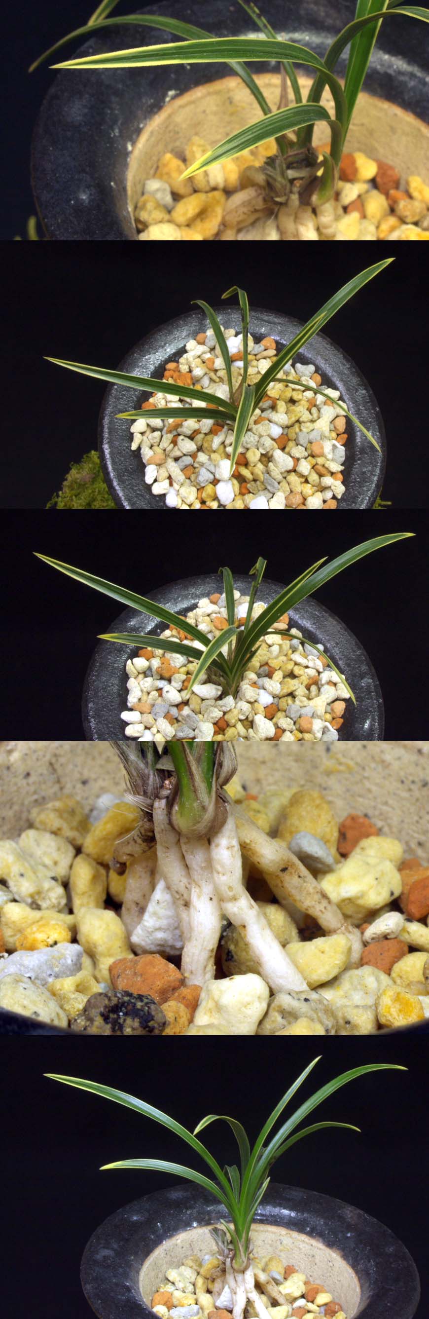 ������ ū������ �� �� �ֽ��ϴ�.