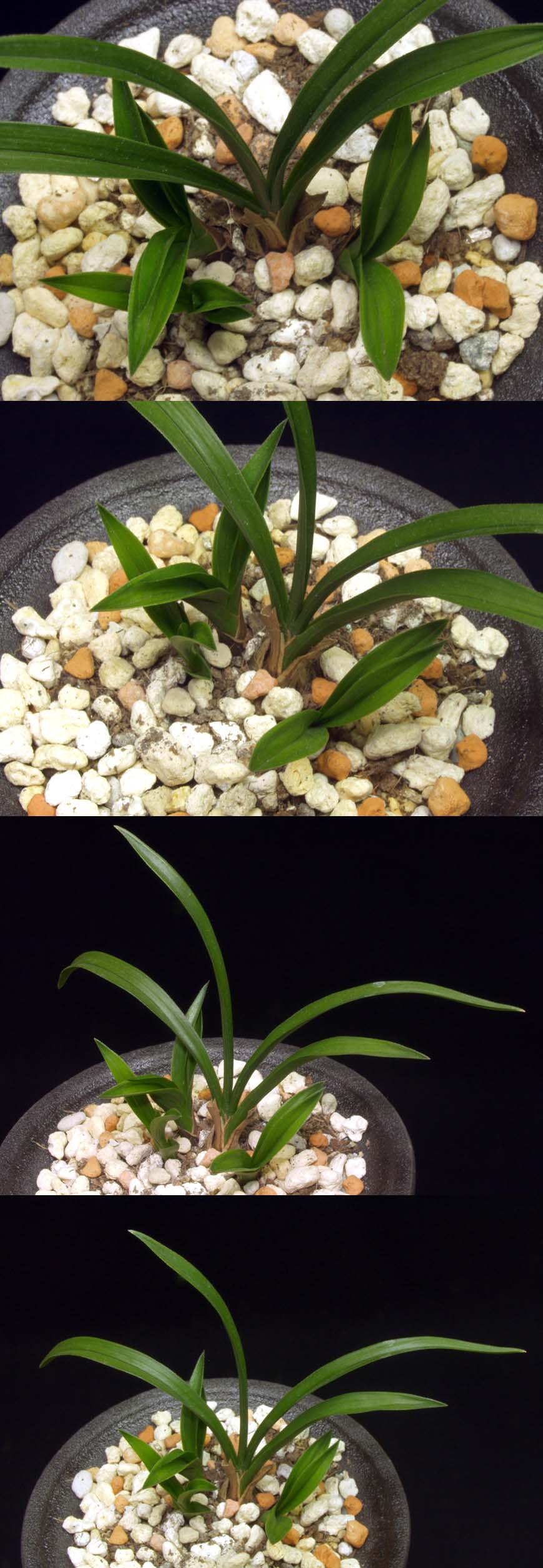 ������ ū������ �� �� �ֽ��ϴ�.