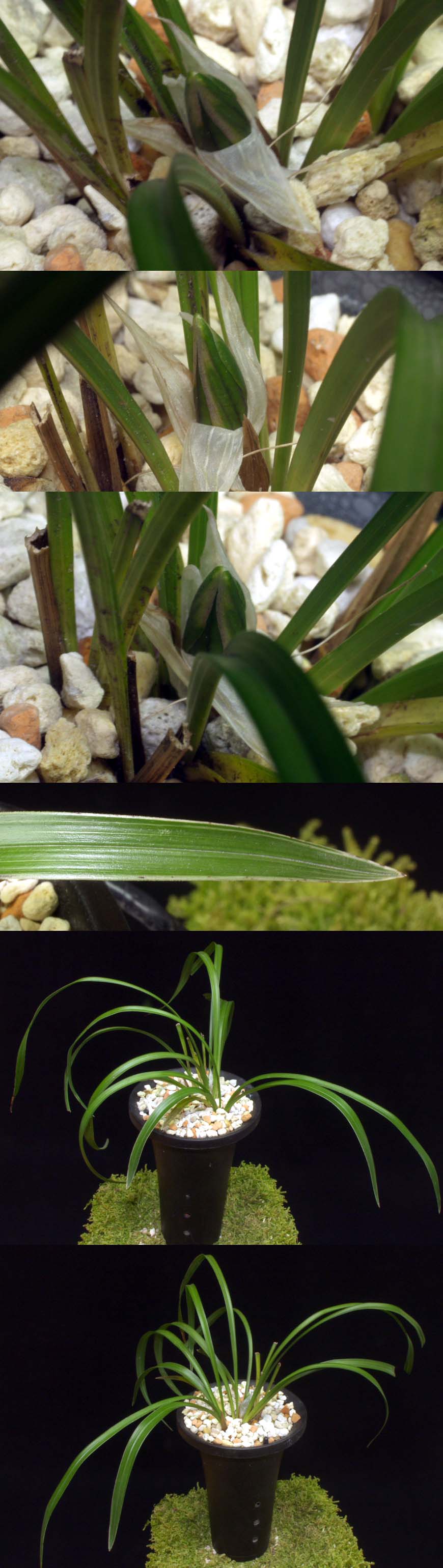 ������ ū������ �� �� �ֽ��ϴ�.