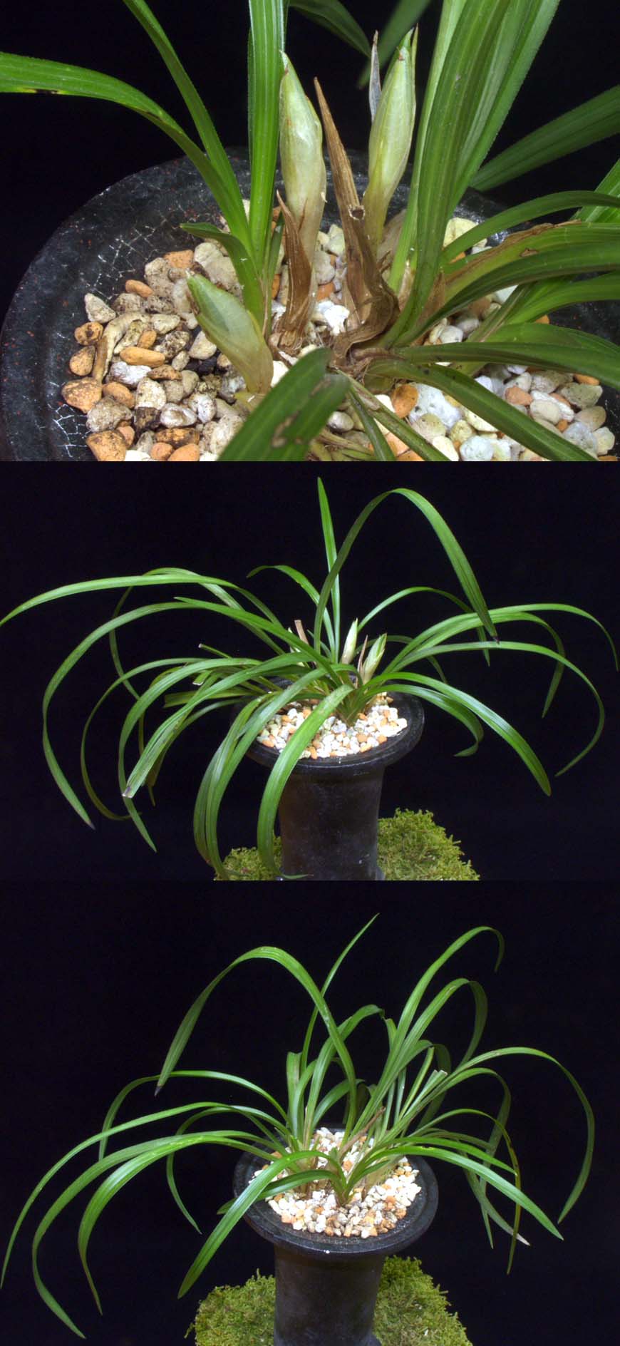 ������ ū������ �� �� �ֽ��ϴ�.