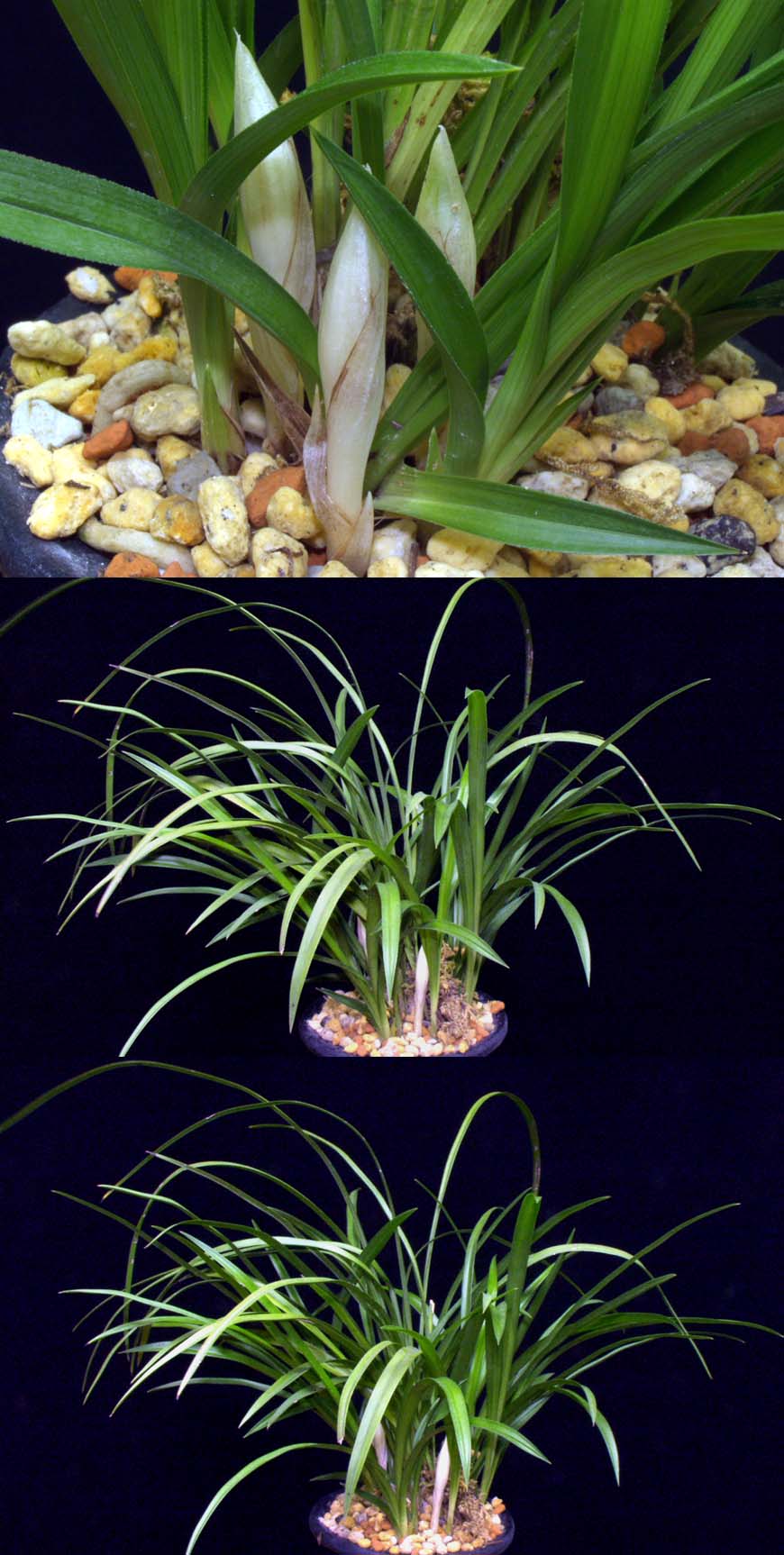 ������ ū������ �� �� �ֽ��ϴ�.