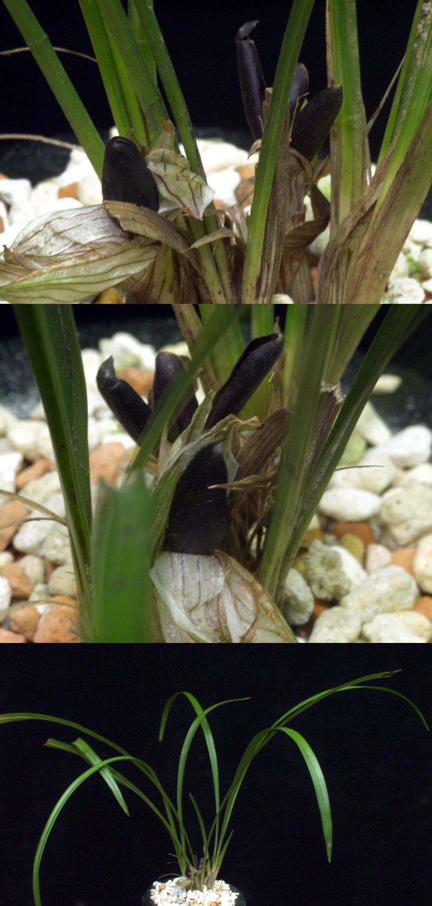 ������ ū������ �� �� �ֽ��ϴ�.