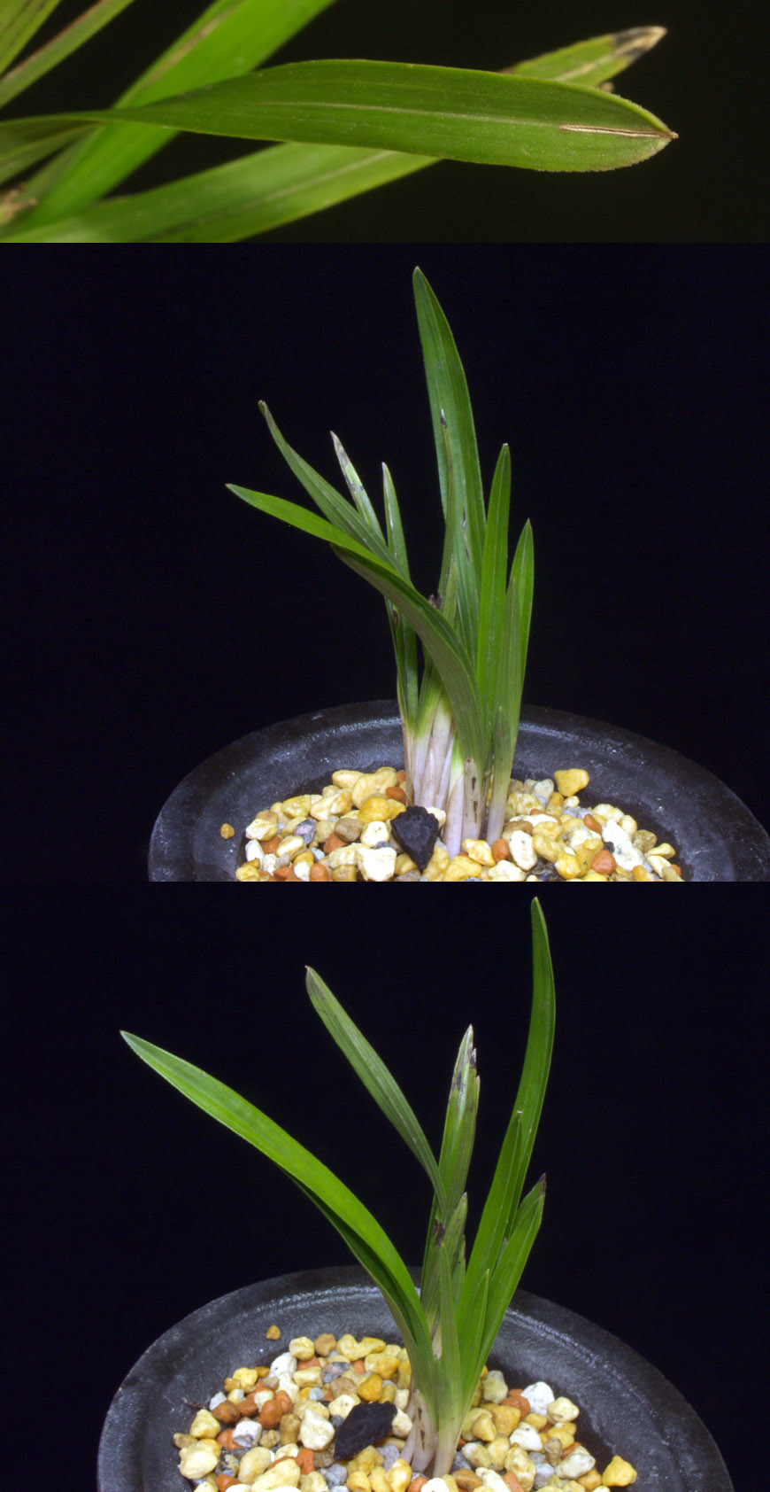 ������ ū������ �� �� �ֽ��ϴ�.