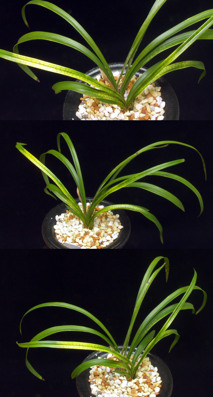 ������ ū������ �� �� �ֽ��ϴ�.