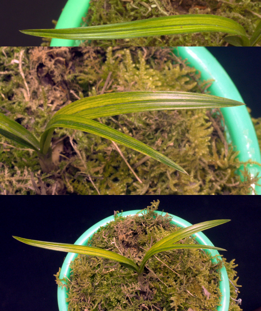 ������ ū������ �� �� �ֽ��ϴ�.