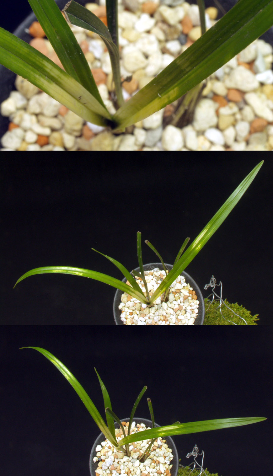 ������ ū������ �� �� �ֽ��ϴ�.