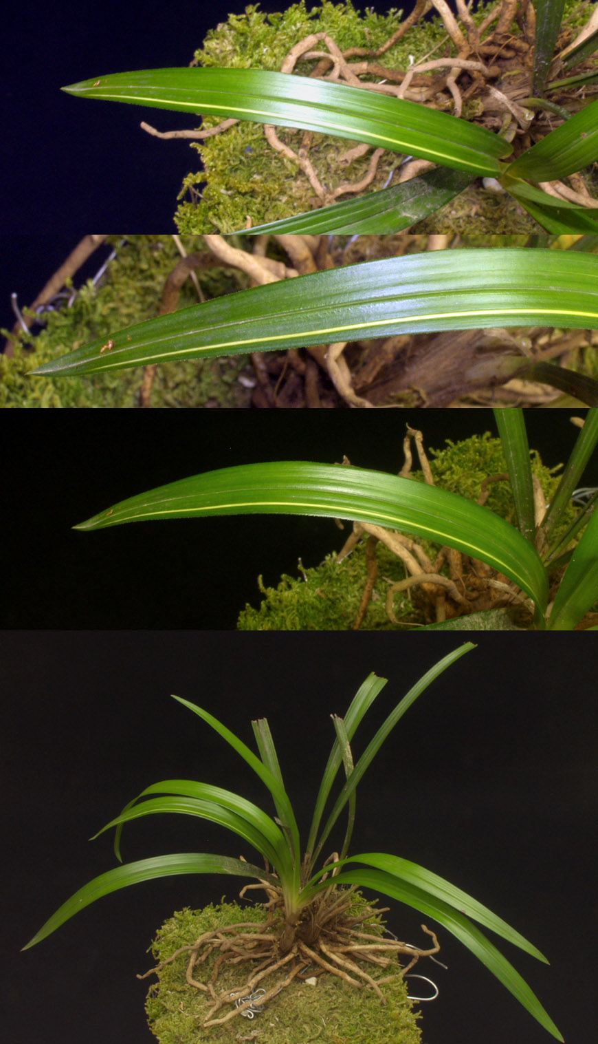 ������ ū������ �� �� �ֽ��ϴ�.