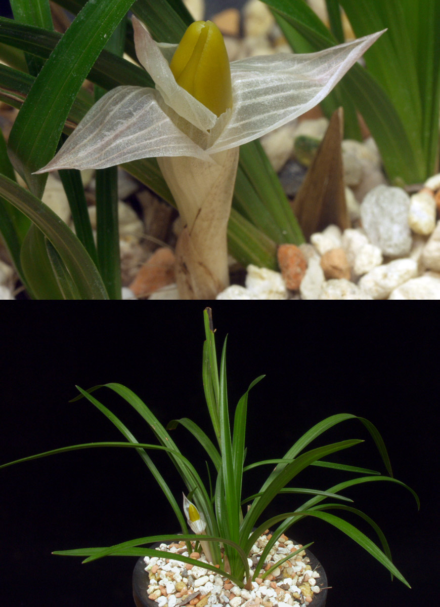 ������ ū������ �� �� �ֽ��ϴ�.