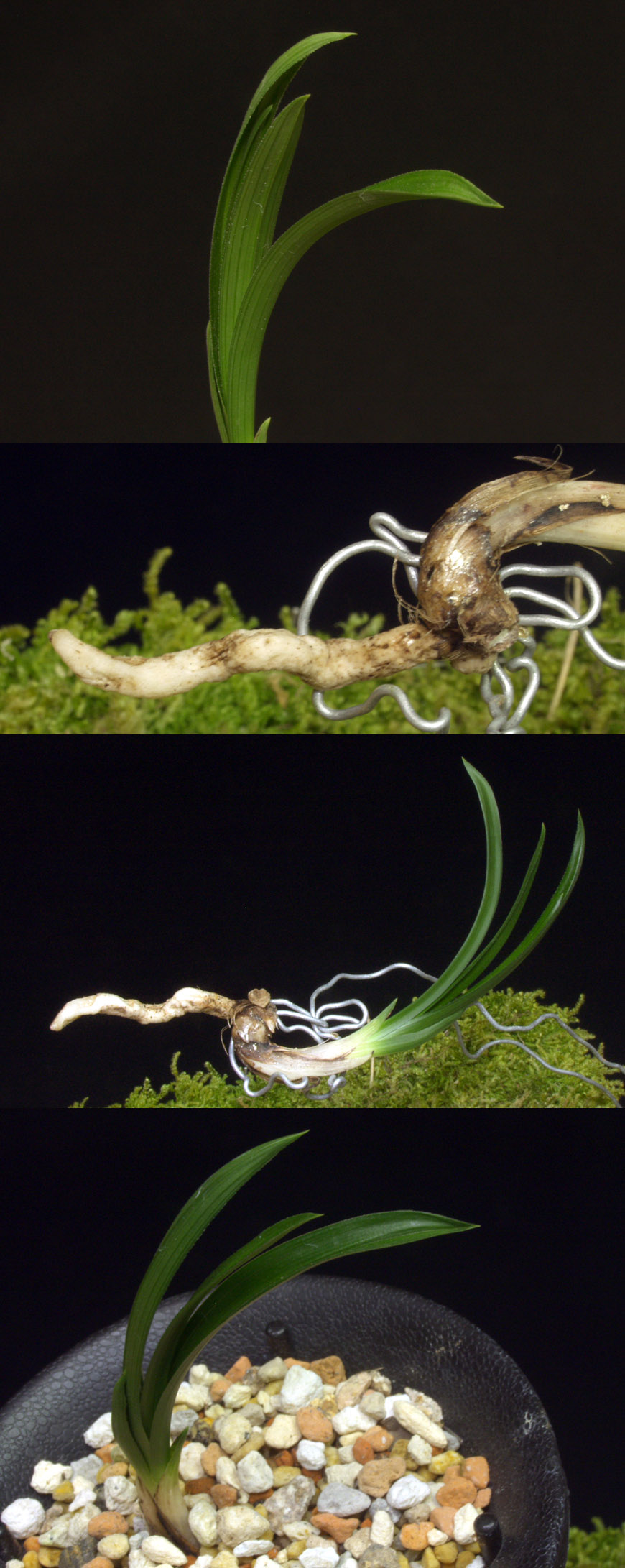 ������ ū������ �� �� �ֽ��ϴ�.