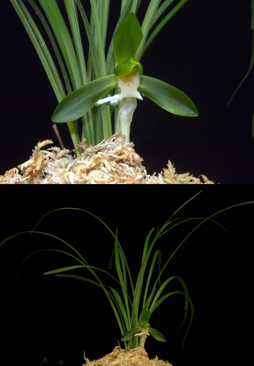 ������ ū������ �� �� �ֽ��ϴ�.