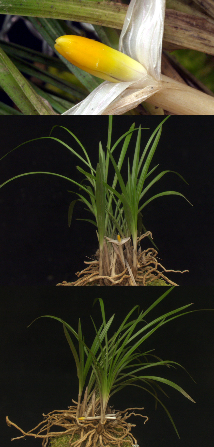 ������ ū������ �� �� �ֽ��ϴ�.