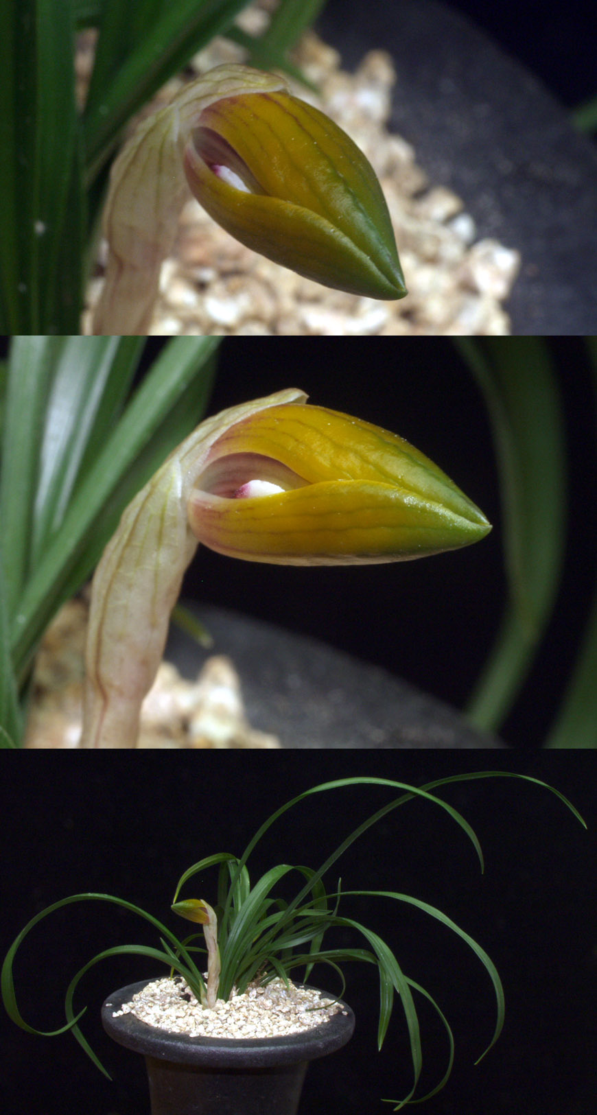 ������ ū������ �� �� �ֽ��ϴ�.