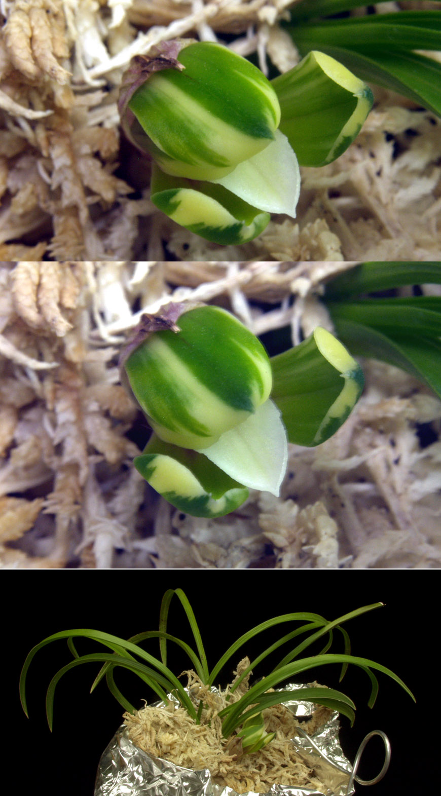 ������ ū������ �� �� �ֽ��ϴ�.