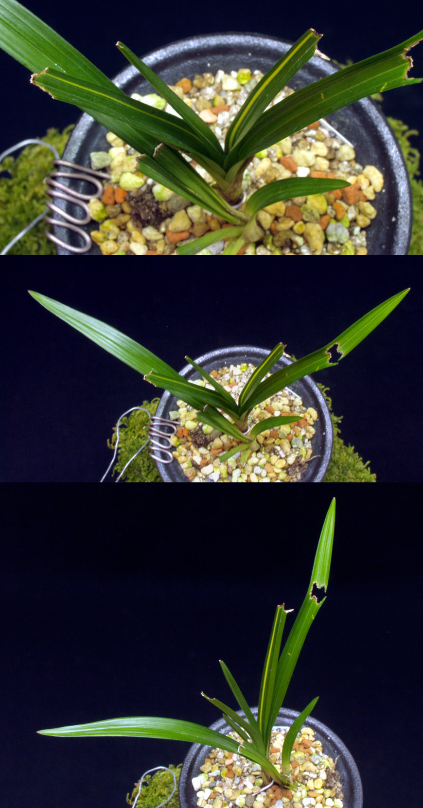 ������ ū������ �� �� �ֽ��ϴ�.