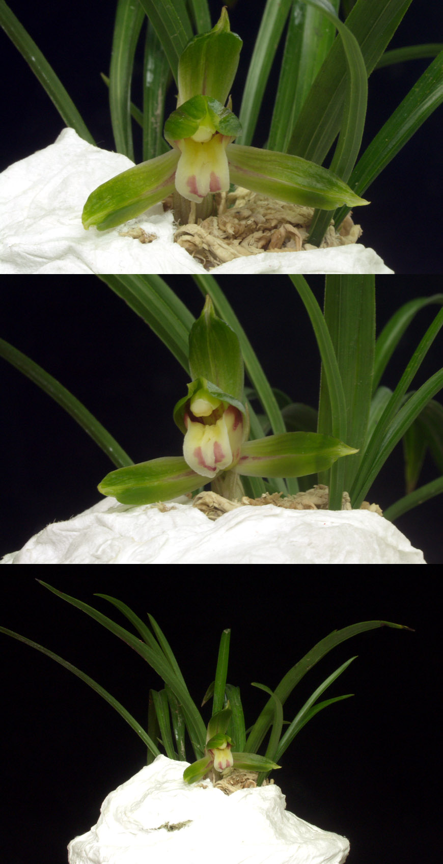 ������ ū������ �� �� �ֽ��ϴ�.