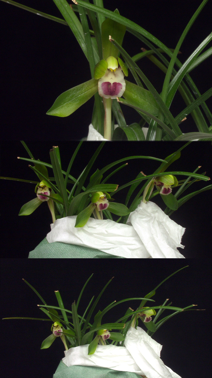 ������ ū������ �� �� �ֽ��ϴ�.