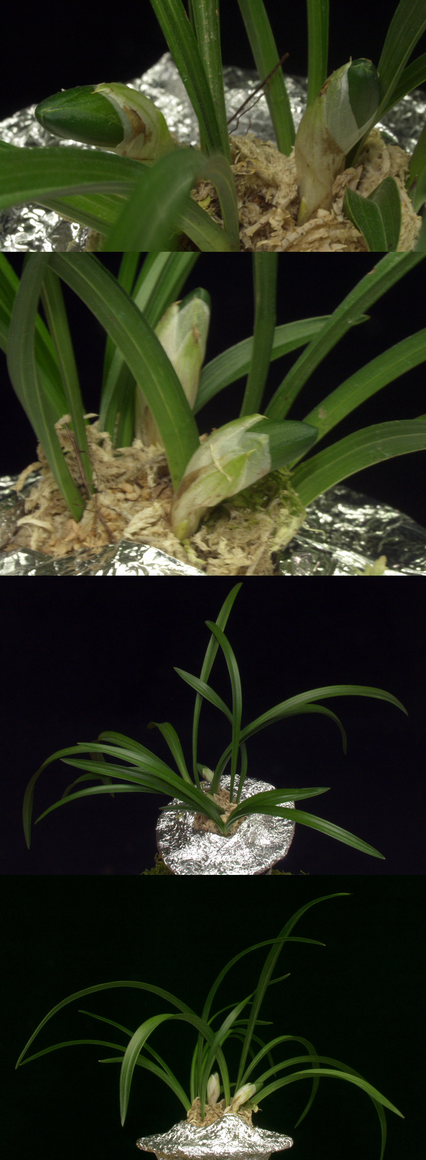 ������ ū������ �� �� �ֽ��ϴ�.