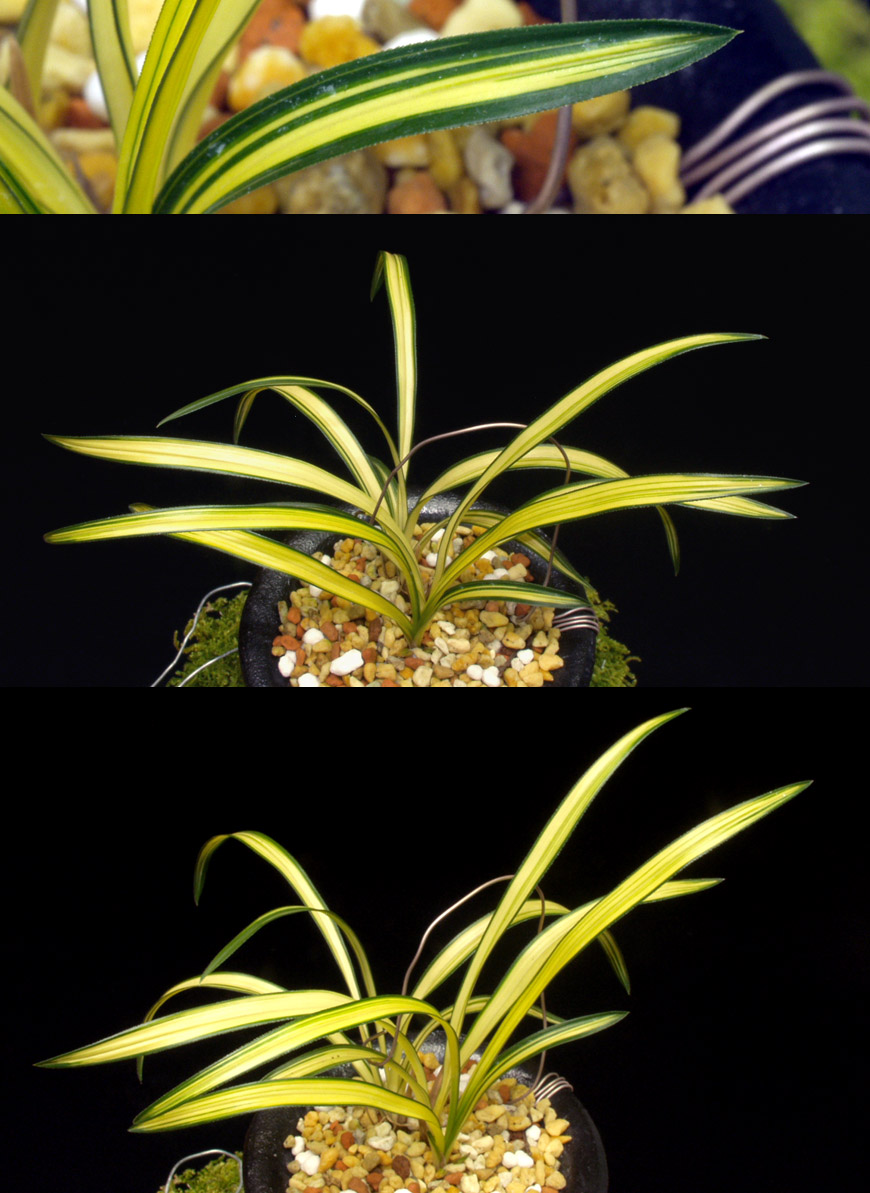 ������ ū������ �� �� �ֽ��ϴ�.