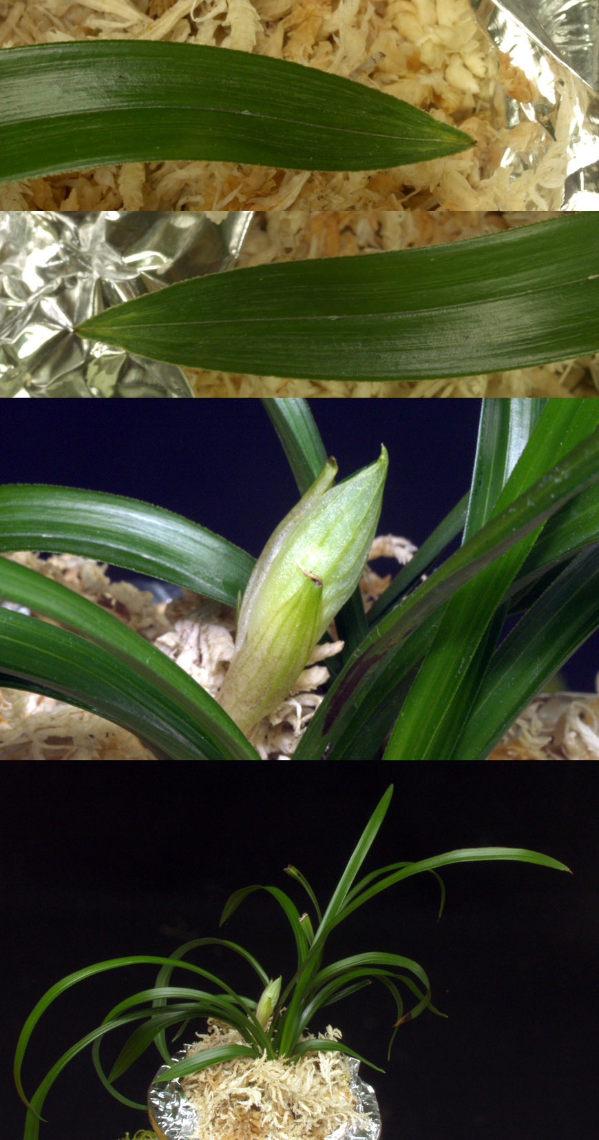 ������ ū������ �� �� �ֽ��ϴ�.