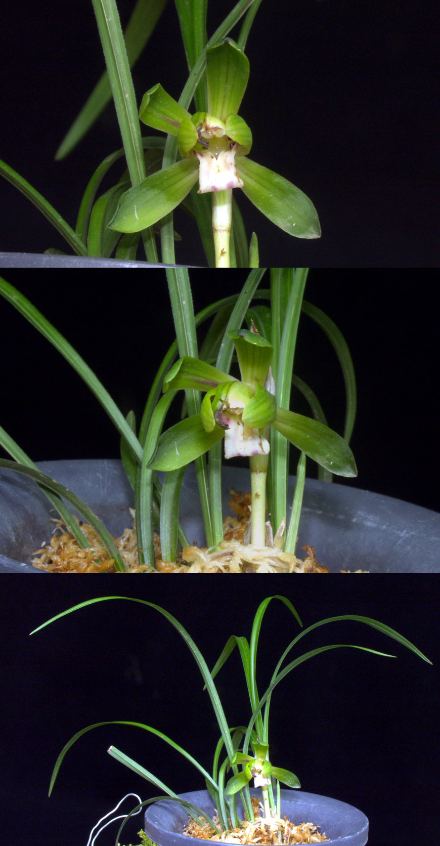 ������ ū������ �� �� �ֽ��ϴ�.