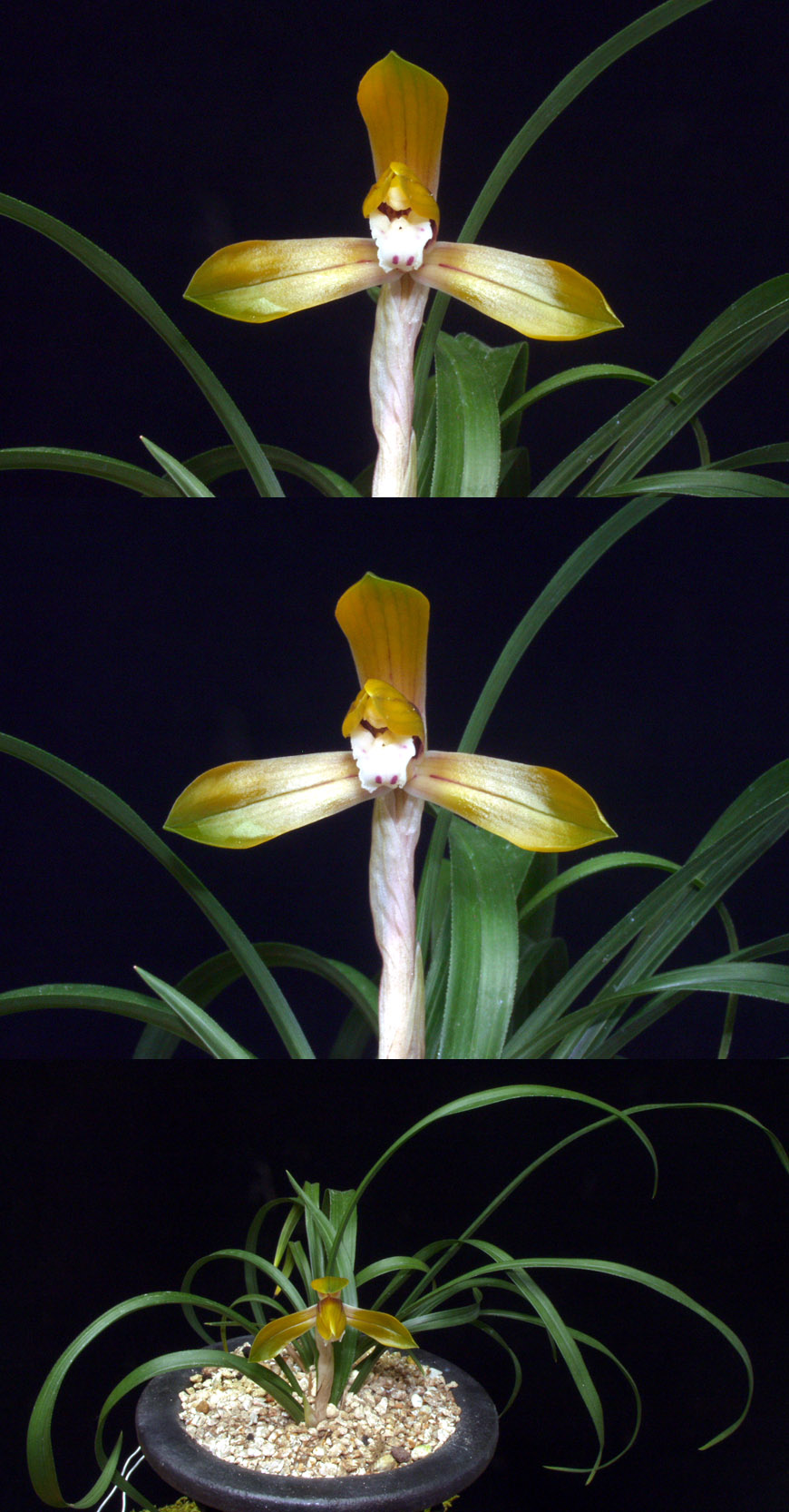 ������ ū������ �� �� �ֽ��ϴ�.