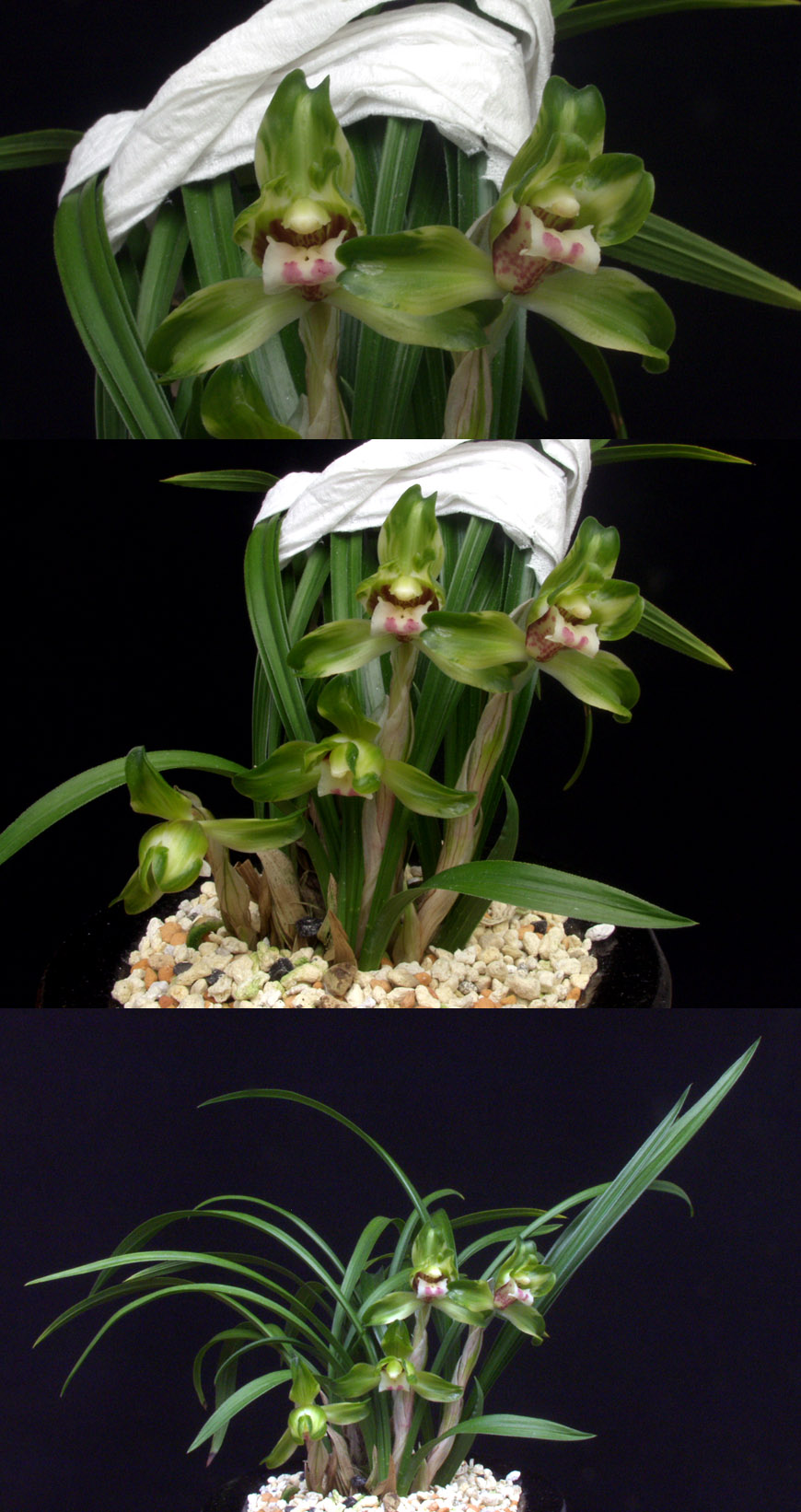 ������ ū������ �� �� �ֽ��ϴ�.