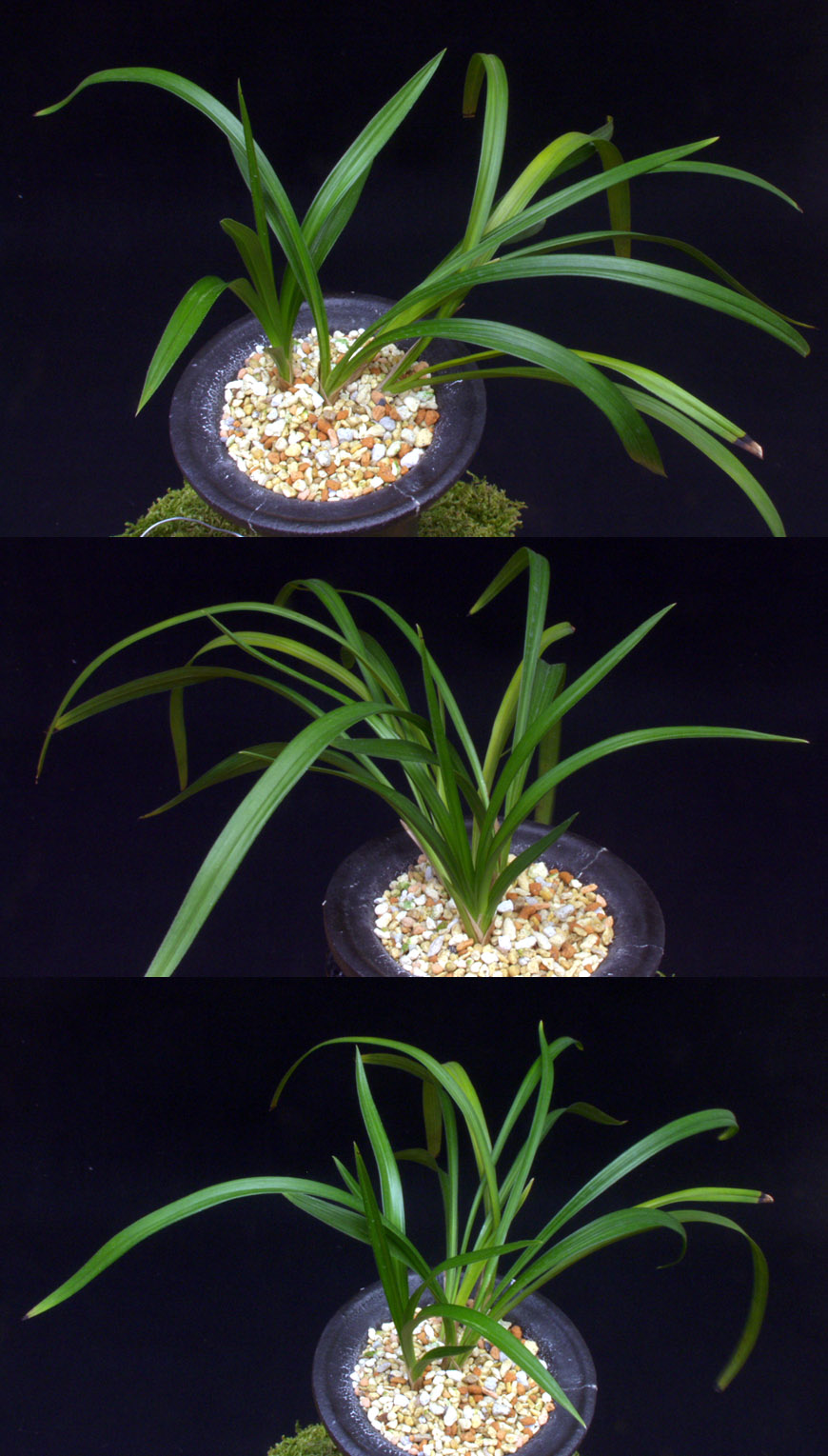 ������ ū������ �� �� �ֽ��ϴ�.