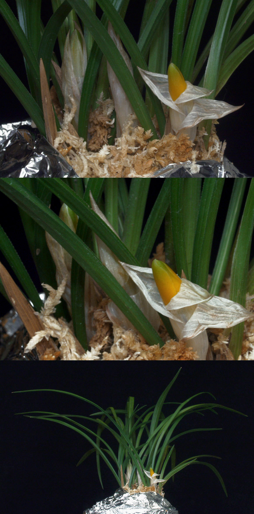 ������ ū������ �� �� �ֽ��ϴ�.