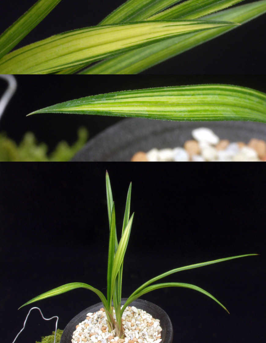 ������ ū������ �� �� �ֽ��ϴ�.