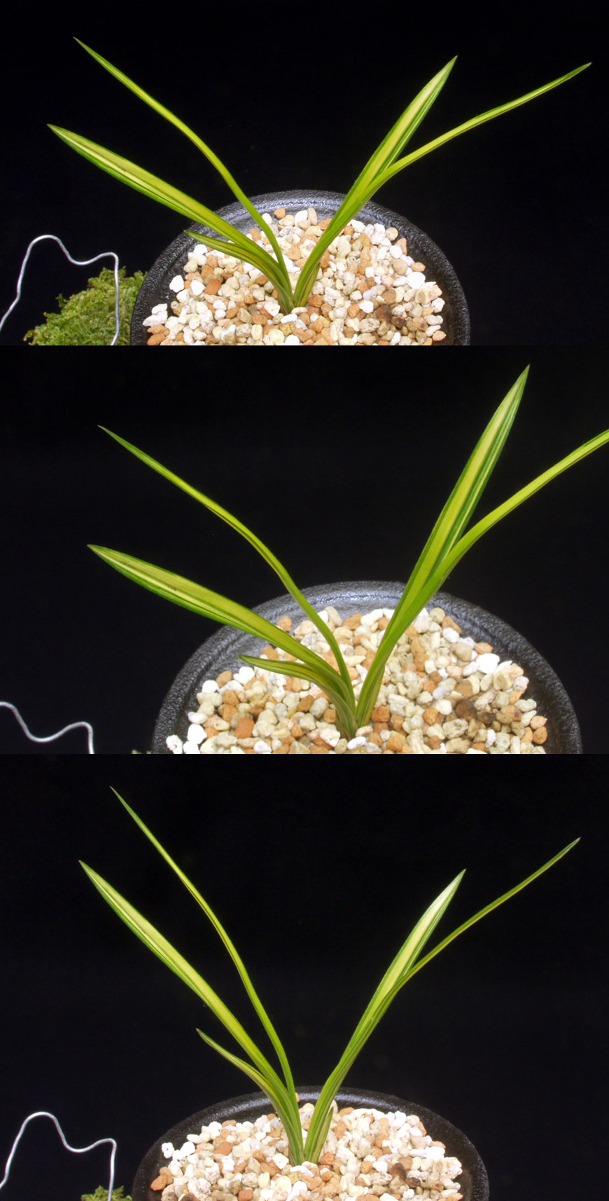 ������ ū������ �� �� �ֽ��ϴ�.