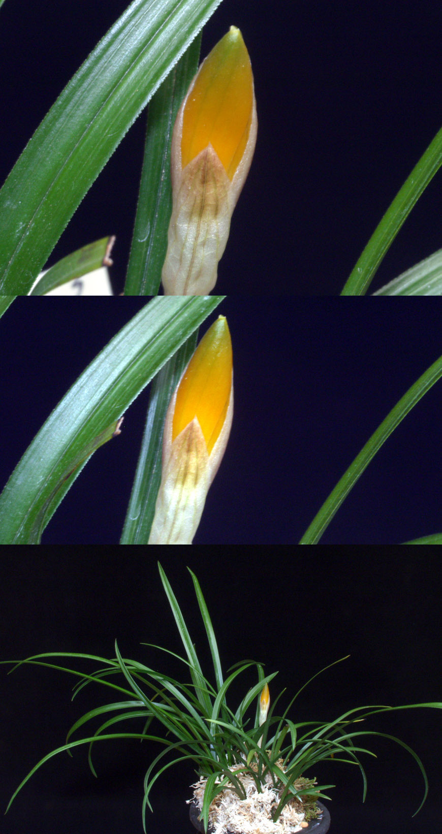 ������ ū������ �� �� �ֽ��ϴ�.