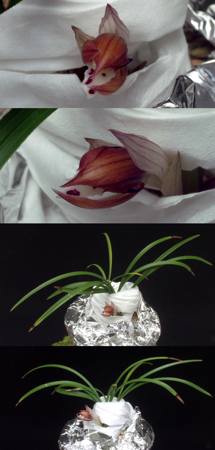 ������ ū������ �� �� �ֽ��ϴ�.