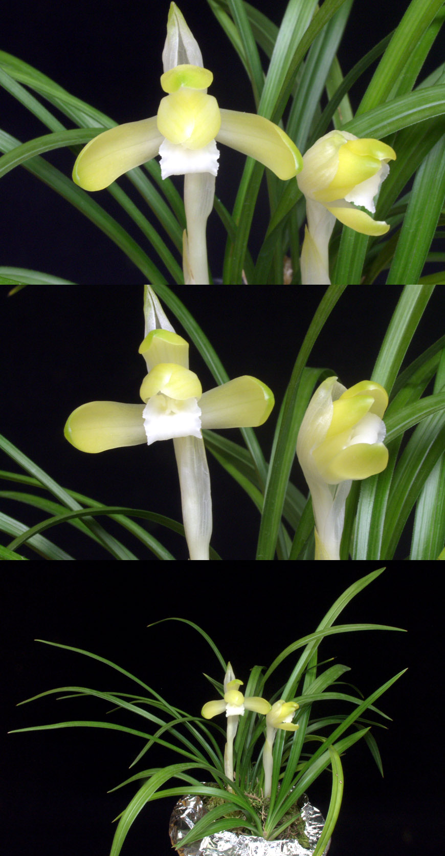 ������ ū������ �� �� �ֽ��ϴ�.