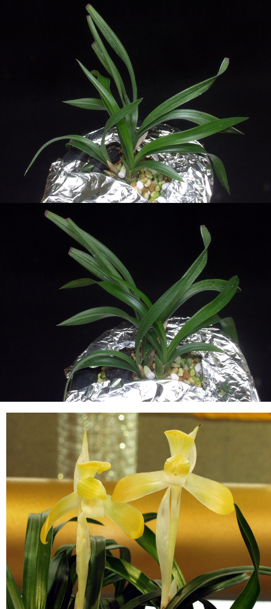 ������ ū������ �� �� �ֽ��ϴ�.