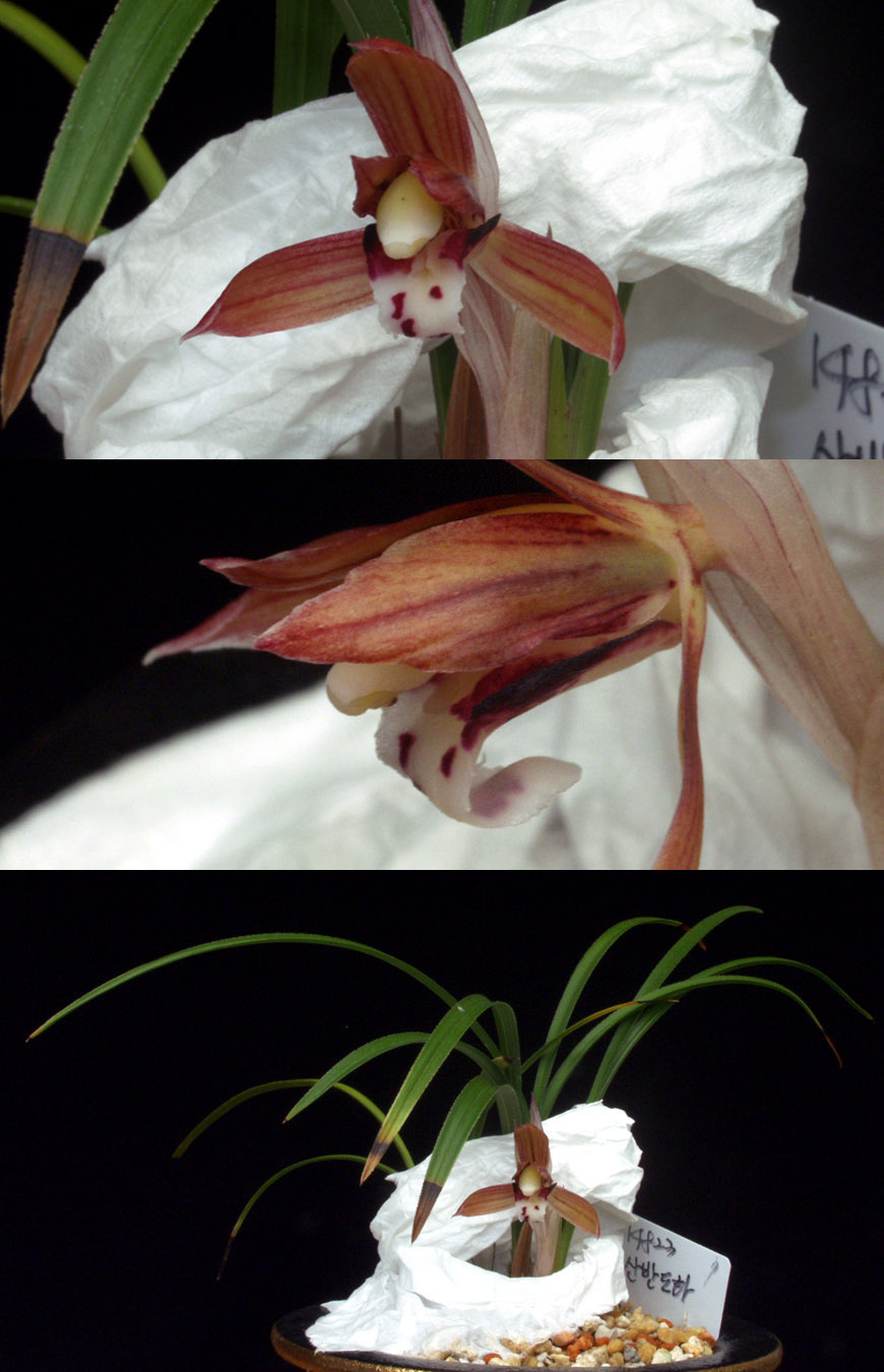 ������ ū������ �� �� �ֽ��ϴ�.