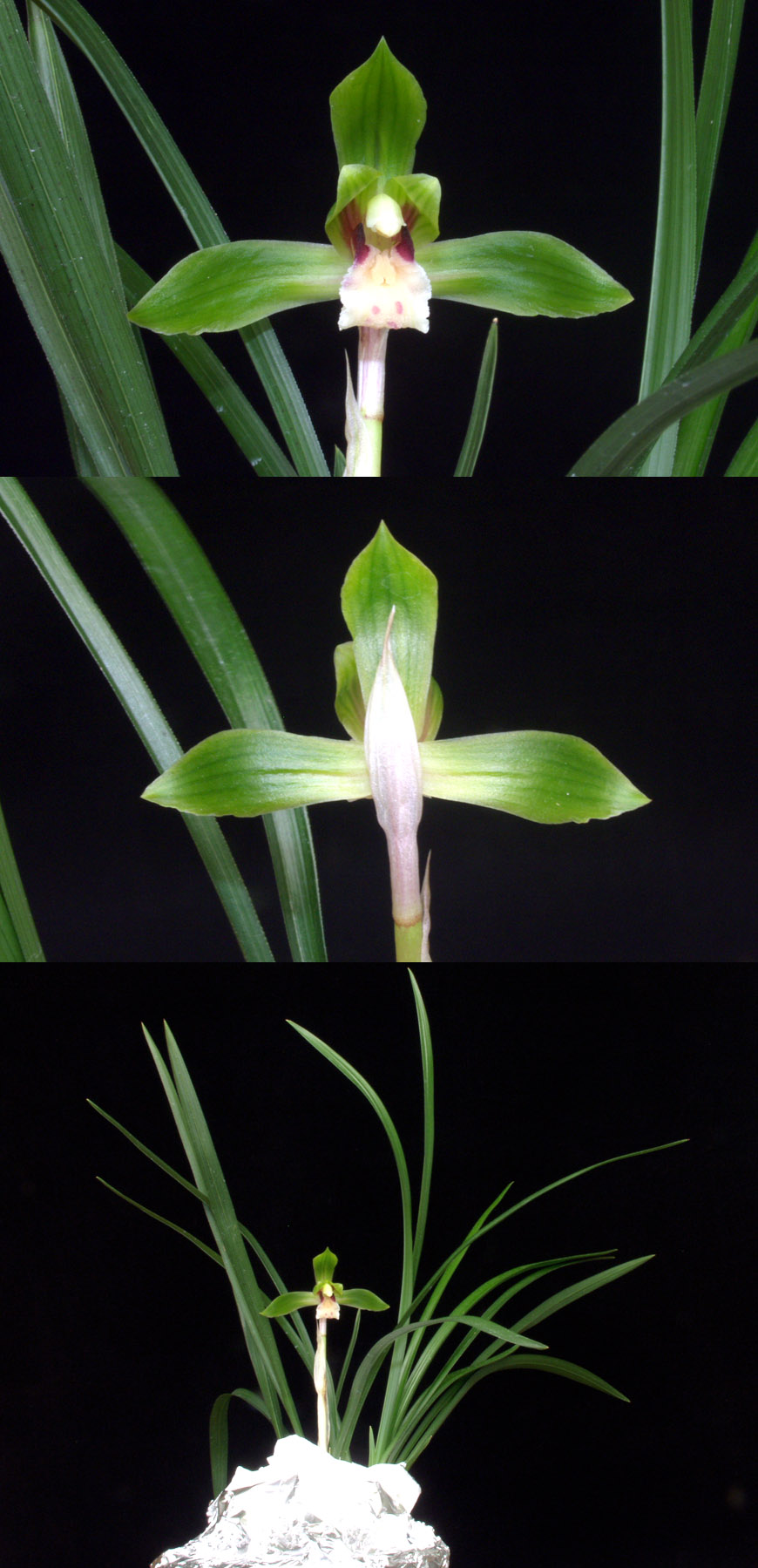 ������ ū������ �� �� �ֽ��ϴ�.