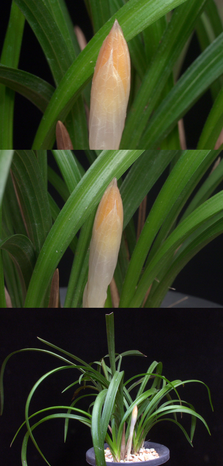 ������ ū������ �� �� �ֽ��ϴ�.