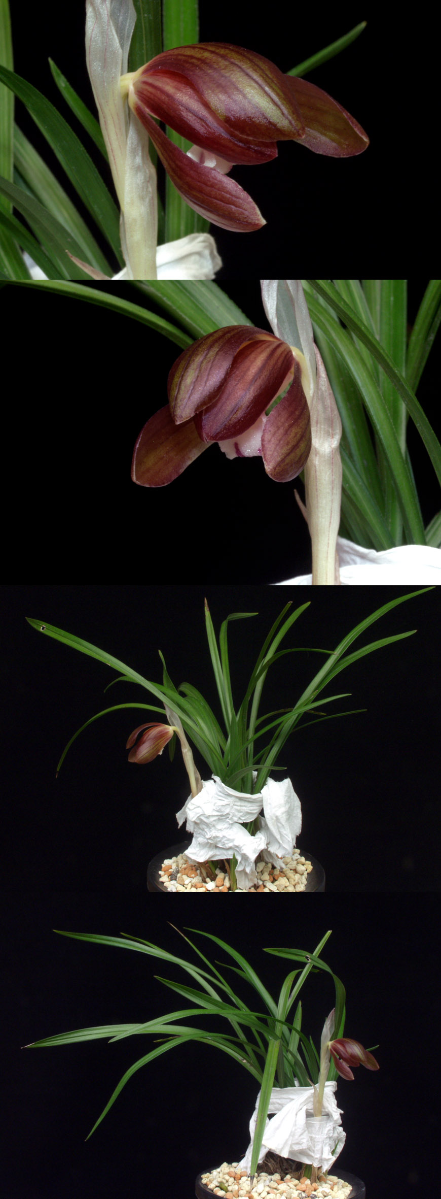 ������ ū������ �� �� �ֽ��ϴ�.