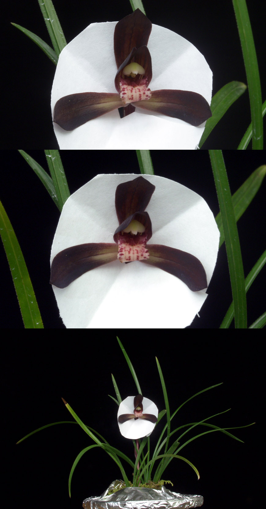 ������ ū������ �� �� �ֽ��ϴ�.