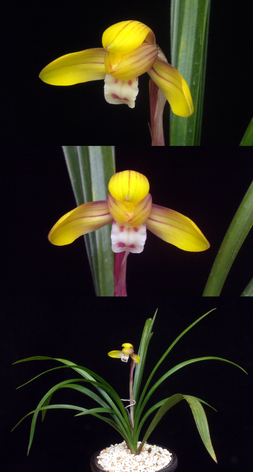 ������ ū������ �� �� �ֽ��ϴ�.