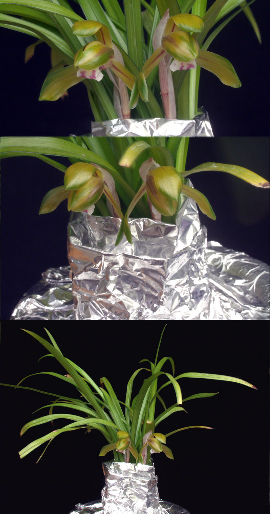 ������ ū������ �� �� �ֽ��ϴ�.