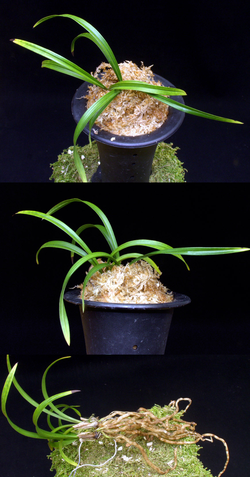 ������ ū������ �� �� �ֽ��ϴ�.