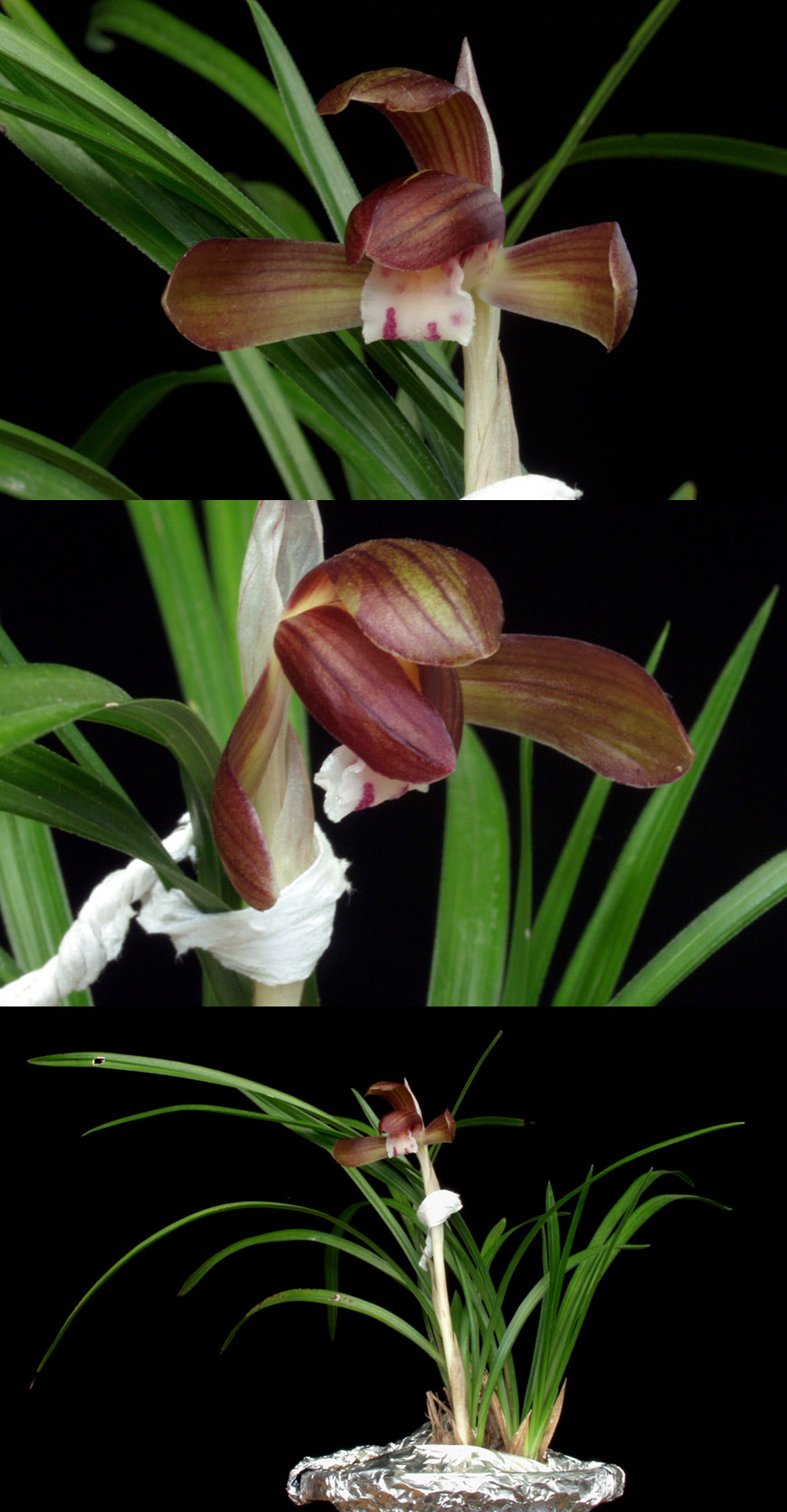 ������ ū������ �� �� �ֽ��ϴ�.